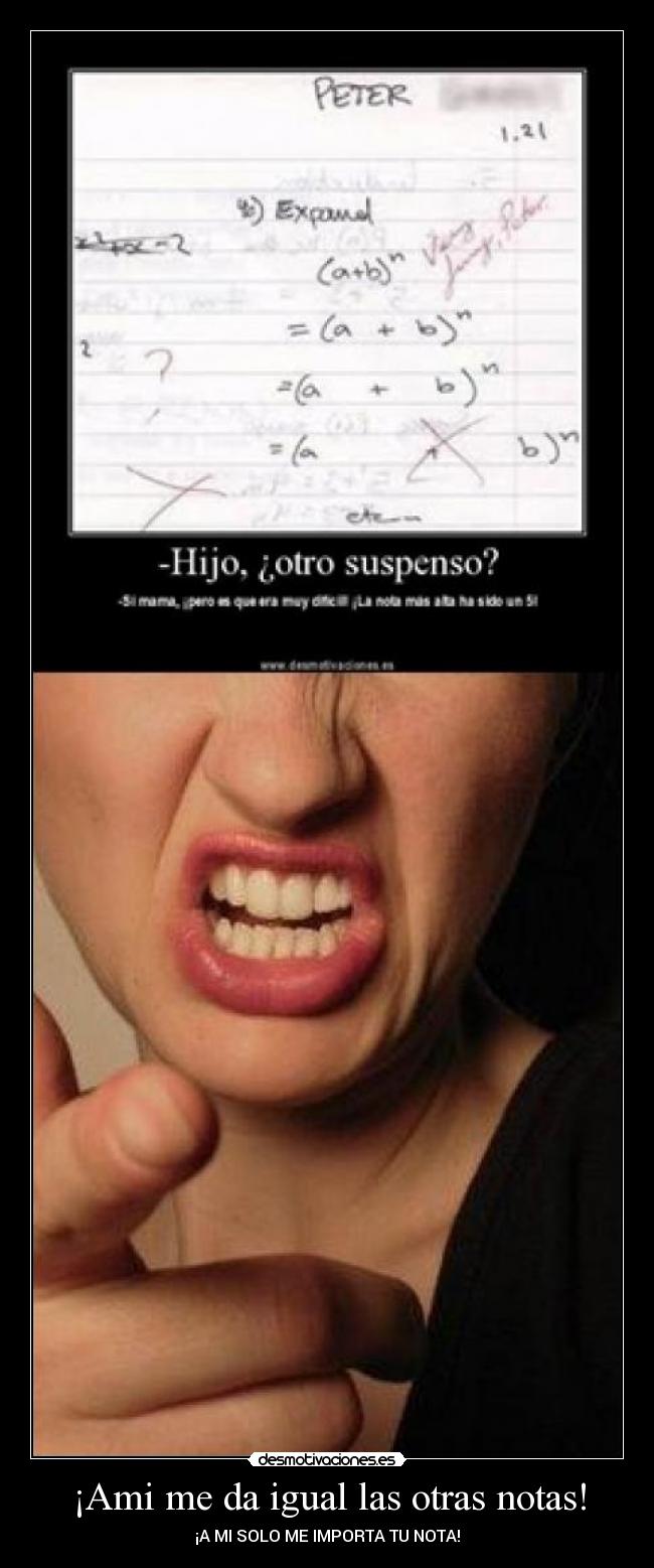 ¡Ami me da igual las otras notas! -