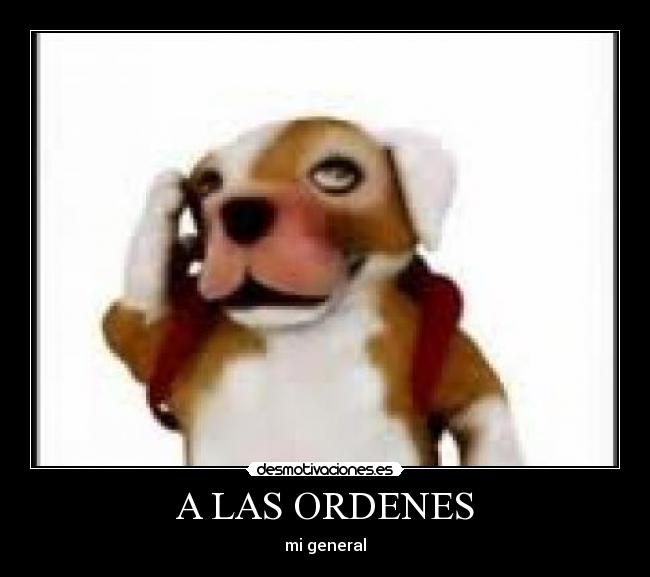 A LAS ORDENES - mi general