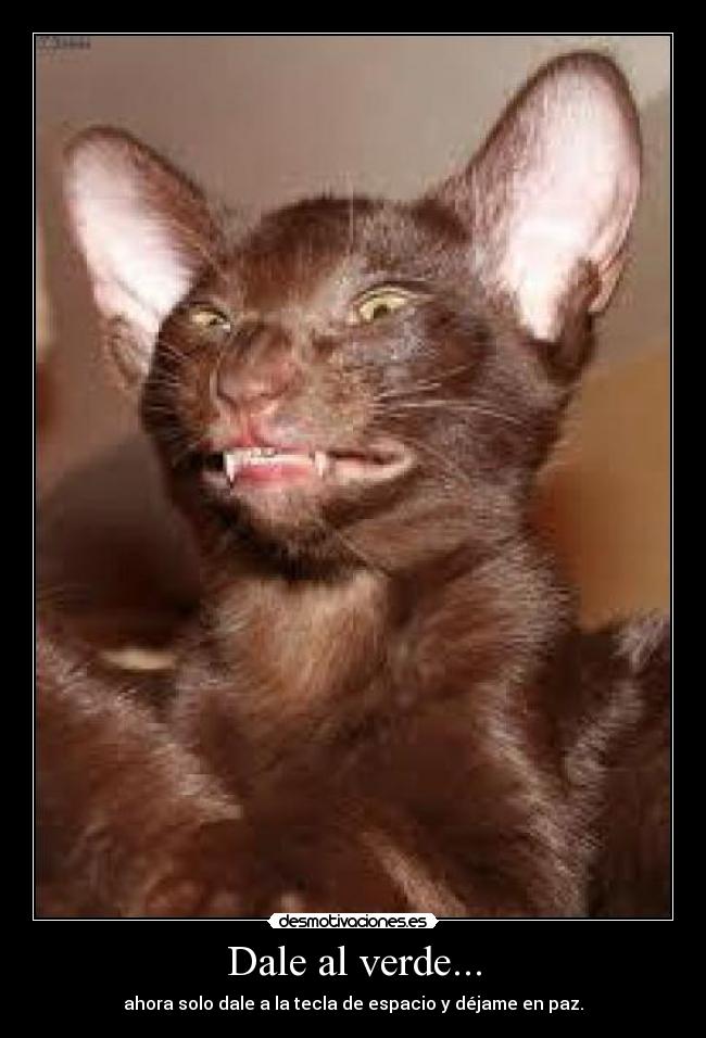 Dale al verde... - ahora solo dale a la tecla de espacio y déjame en paz.