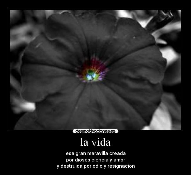 la vida - esa gran maravilla creada
por dioses ciencia y amor
y destruida por odio y resignacion