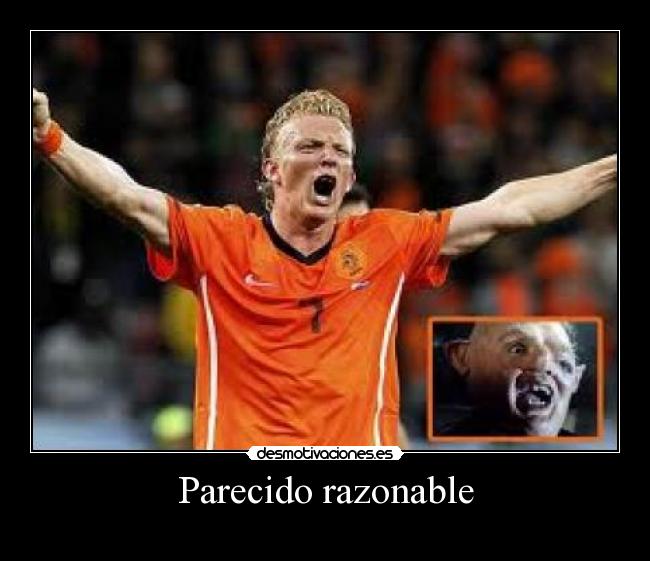 Parecido razonable - 