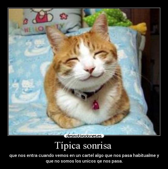 carteles sonrisa tipica sonrisa desmotivaciones