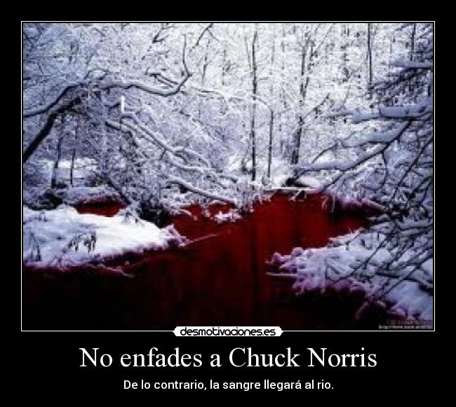 No enfades a Chuck Norris -
