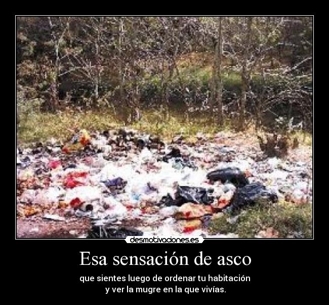 Esa sensación de asco - que sientes luego de ordenar tu habitación
y ver la mugre en la que vivías.