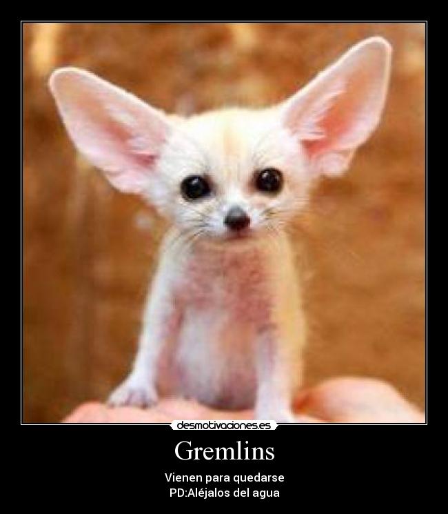 Gremlins -