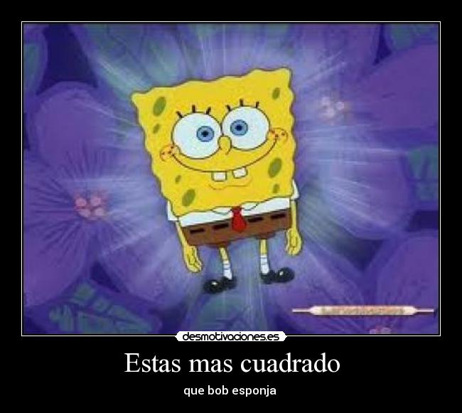 Estas mas cuadrado - 