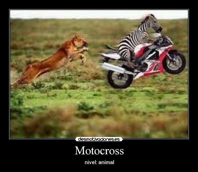 Motocross - 