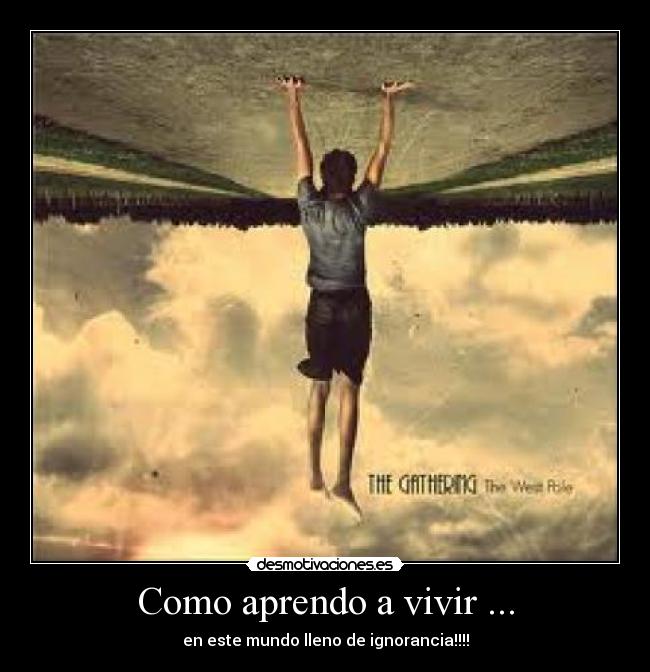 Como aprendo a vivir ... - en este mundo lleno de ignorancia!!!!