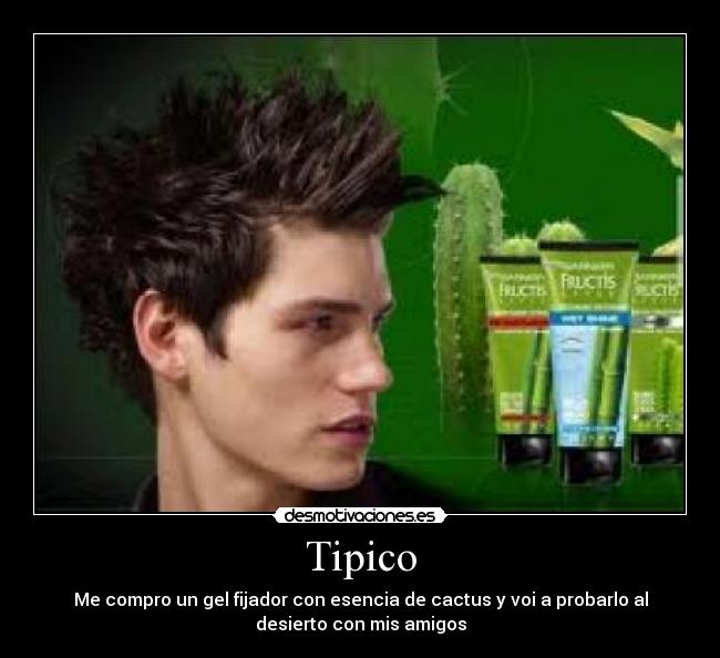 Tipico - 