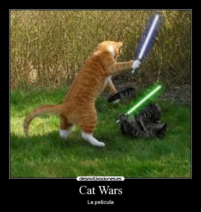 Cat Wars - 