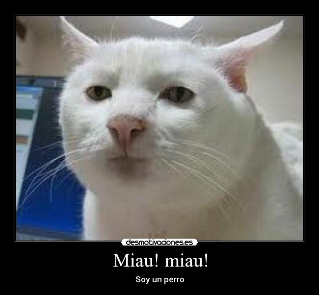Miau! miau! - Soy un perro