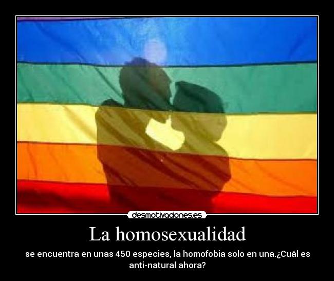 La homosexualidad -