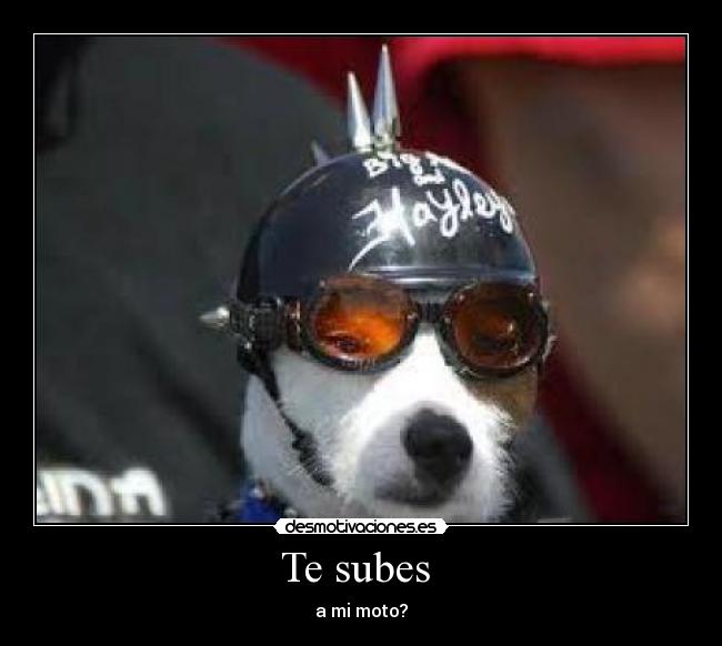 Te subes - a mi moto?