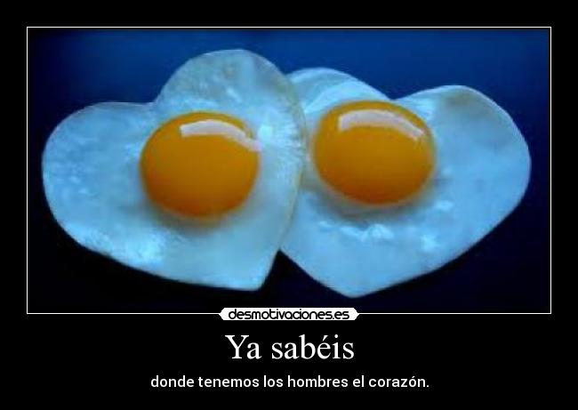 carteles huevos desmotivaciones