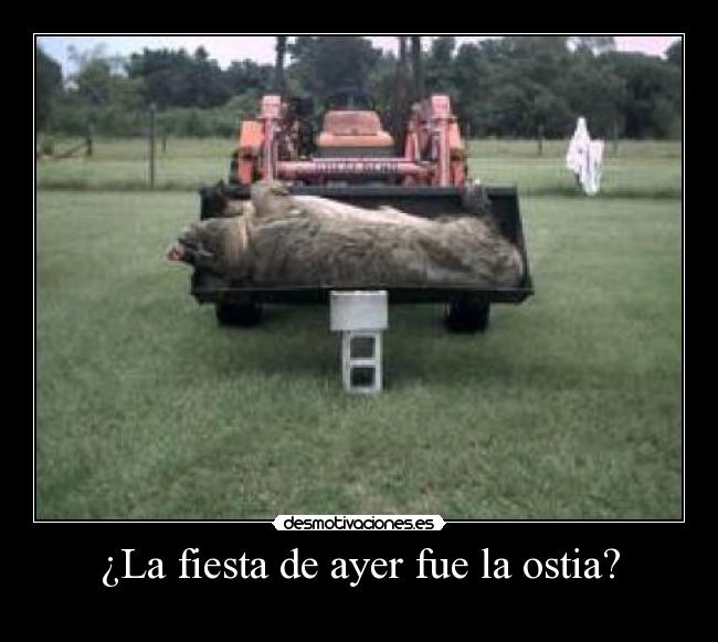¿La fiesta de ayer fue la ostia? -