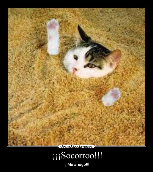 ¡¡¡Socorroo!!! - ¡¡¡Me ahogo!!!