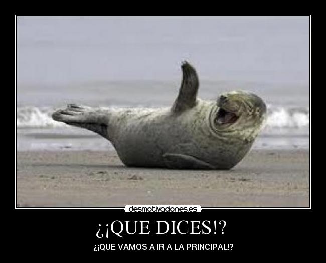 ¿¡QUE DICES!? - ¿¡QUE VAMOS A IR A LA PRINCIPAL!?