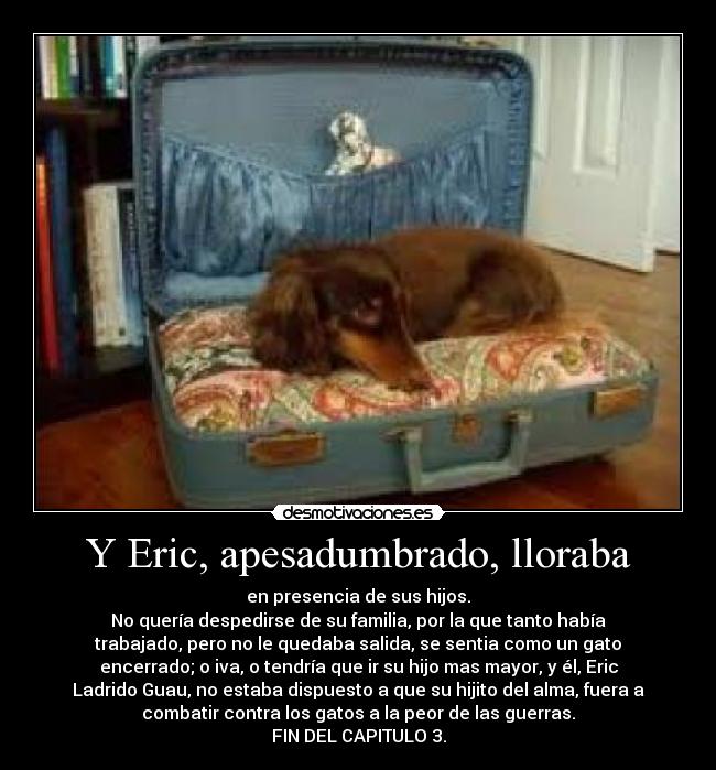 Y Eric, apesadumbrado, lloraba - en presencia de sus hijos.
No quería despedirse de su familia, por la que tanto había
trabajado, pero no le quedaba salida, se sentia como un gato
encerrado; o iva, o tendría que ir su hijo mas mayor, y él, Eric
Ladrido Guau, no estaba dispuesto a que su hijito del alma, fuera a
combatir contra los gatos a la peor de las guerras.
FIN DEL CAPITULO 3.