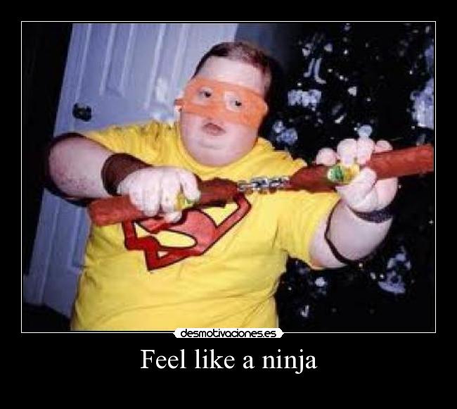 carteles ninja desmotivaciones