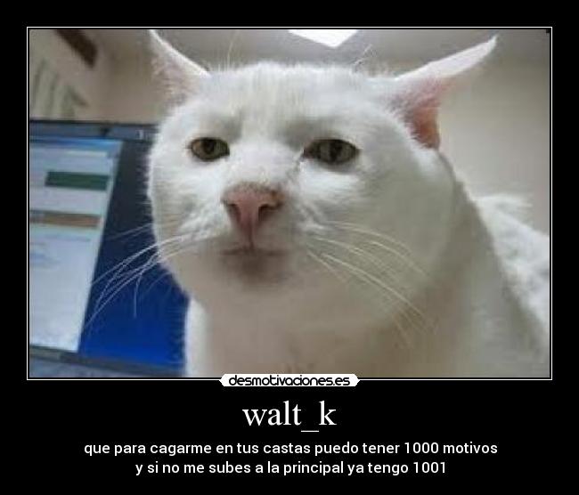 walt_k - que para cagarme en tus castas puedo tener 1000 motivos
y si no me subes a la principal ya tengo 1001