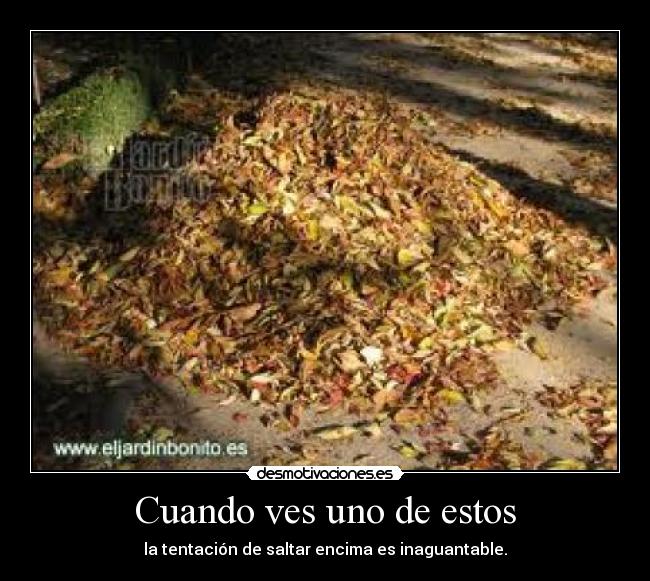 Cuando ves uno de estos - la tentación de saltar encima es inaguantable.