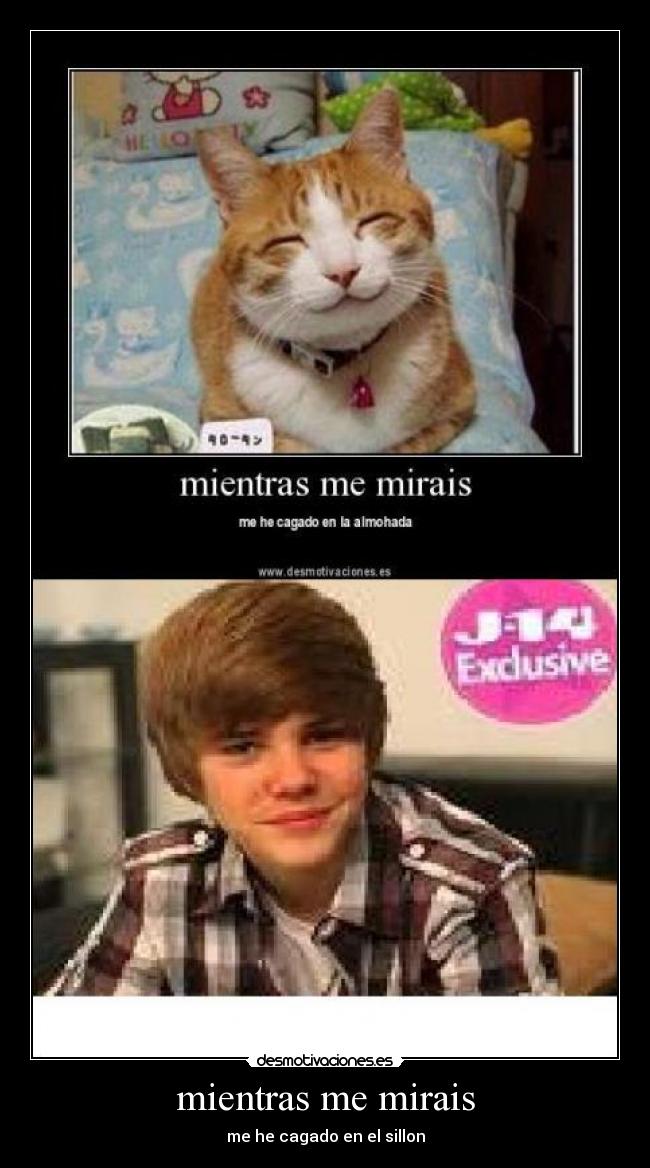 mientras me mirais - me he cagado en el sillon