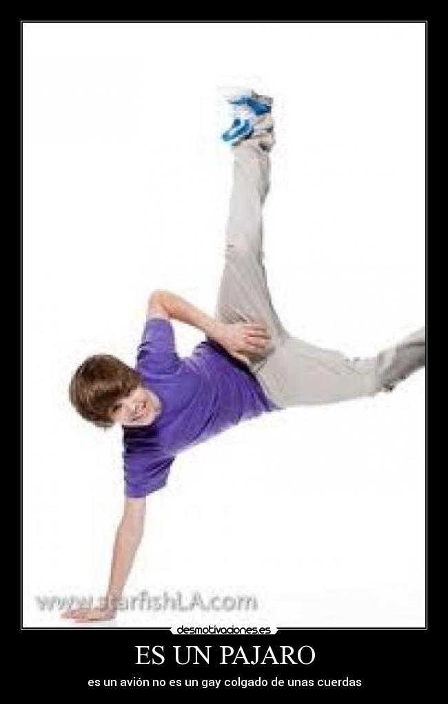 ES UN PAJARO -