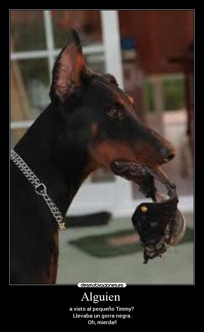 carteles timmy desmotivaciones