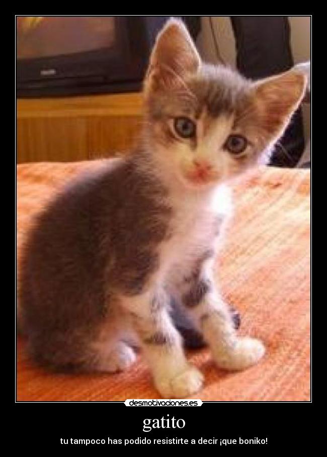 carteles tu2011 desmotivaciones