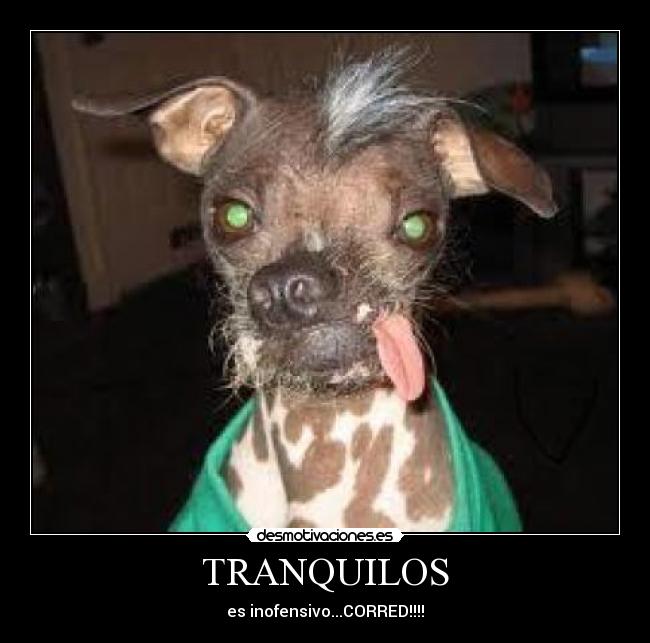 TRANQUILOS - 