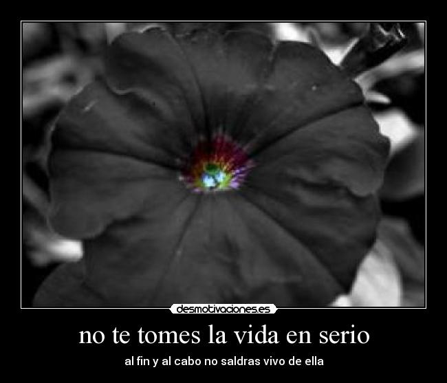 no te tomes la vida en serio - al fin y al cabo no saldras vivo de ella