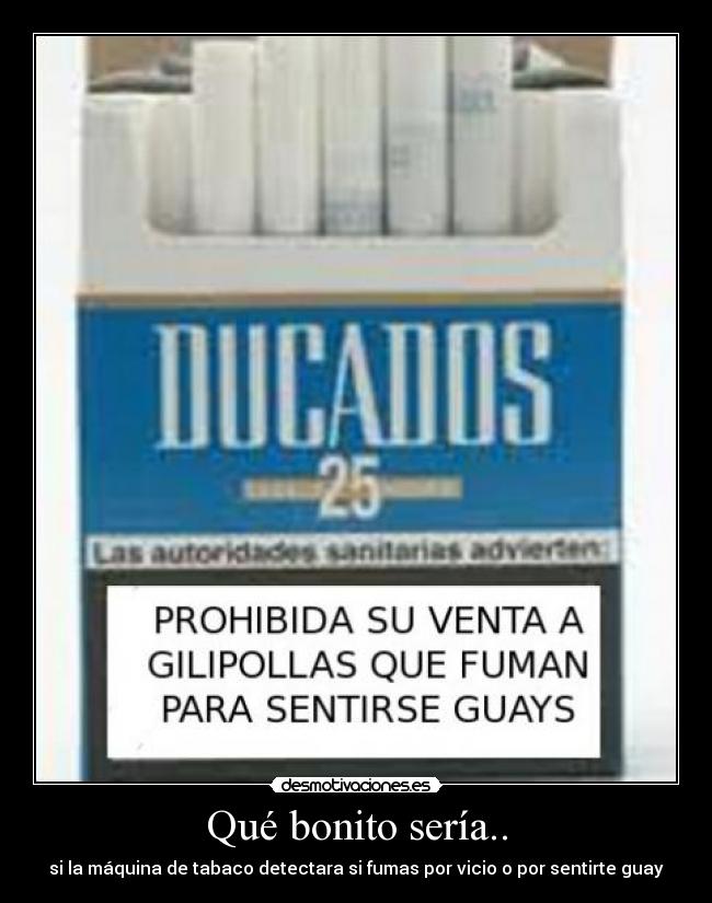 Qué bonito sería.. -