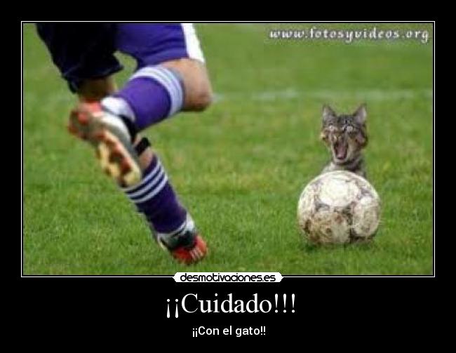 ¡¡Cuidado!!! - 