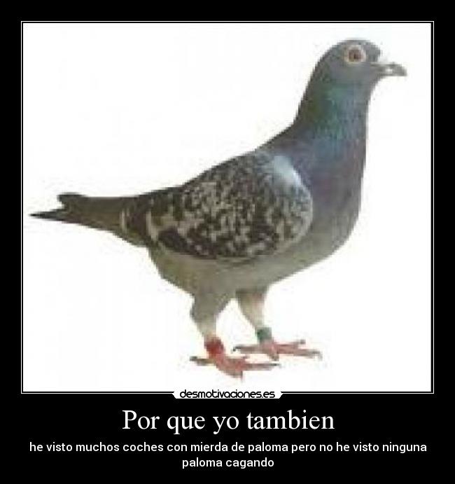 Por que yo tambien -