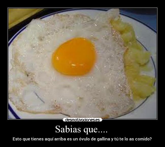 Sabias que....  - 