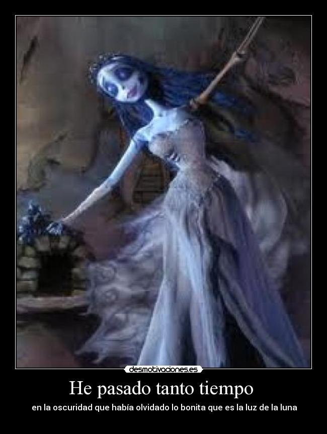He pasado tanto tiempo - en la oscuridad que había olvidado lo bonita que es la luz de la luna