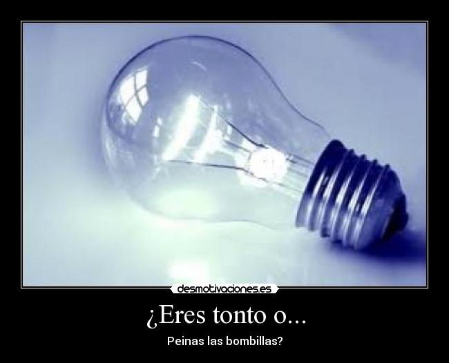 ¿Eres tonto o... - 