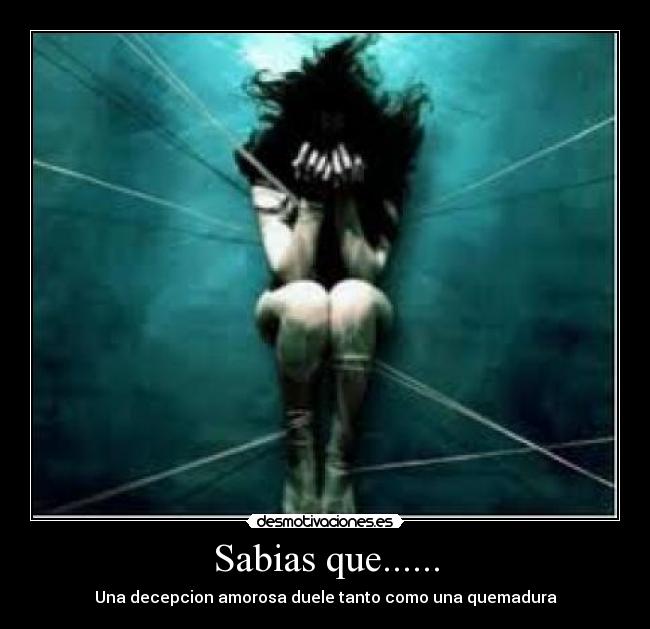 Sabias que...... - Una decepcion amorosa duele tanto como una quemadura