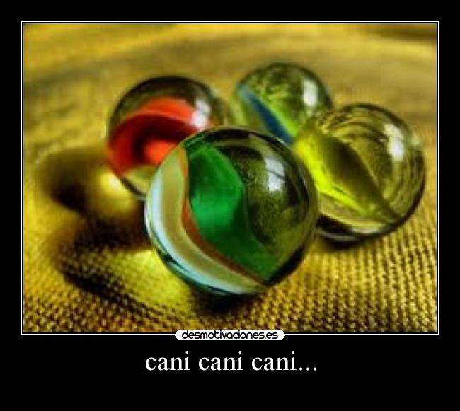 cani cani cani... -