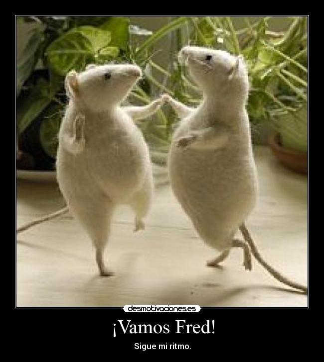 ¡Vamos Fred! - Sigue mi ritmo.