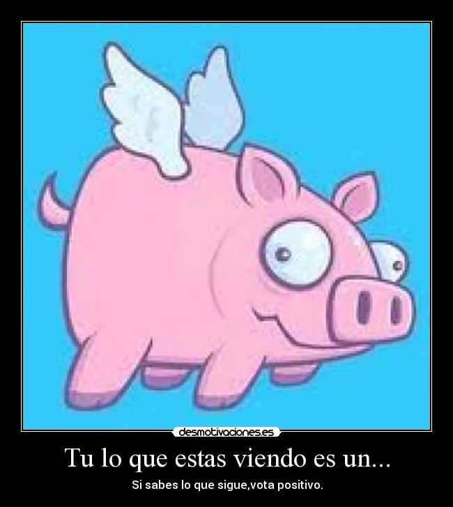 Tu lo que estas viendo es un... - 