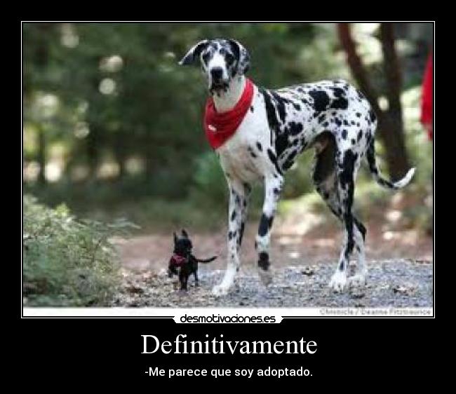 Definitivamente -
