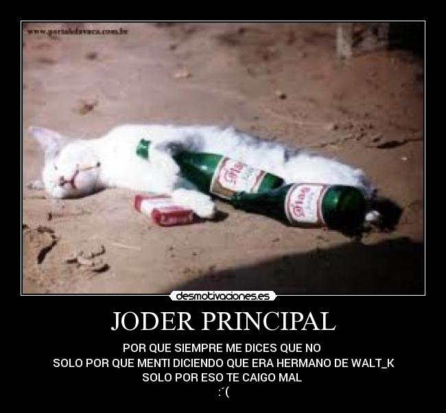 JODER PRINCIPAL - POR QUE SIEMPRE ME DICES QUE NO
SOLO POR QUE MENTI DICIENDO QUE ERA HERMANO DE WALT_K
SOLO POR ESO TE CAIGO MAL
:´(