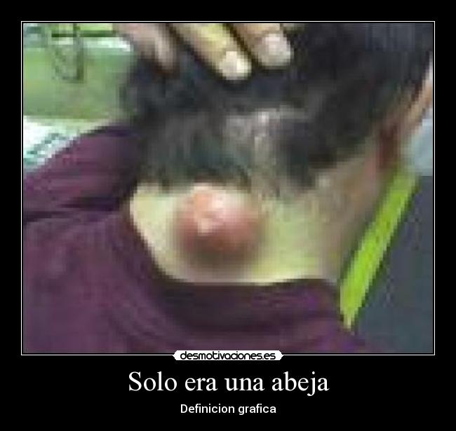 Solo era una abeja - 