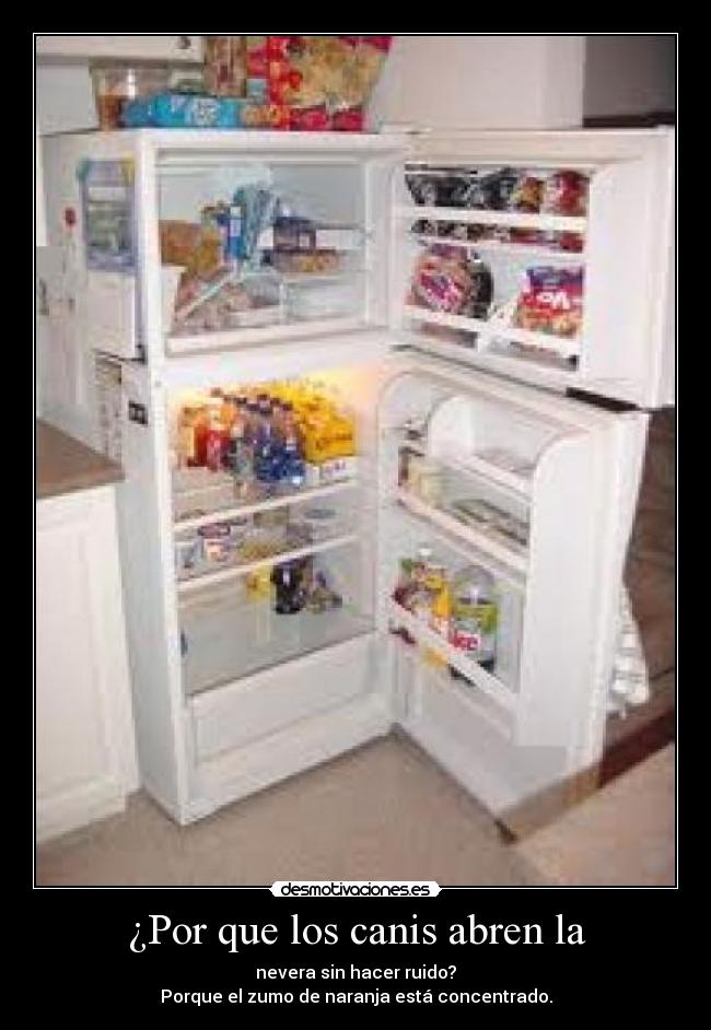 ¿Por que los canis abren la - nevera sin hacer ruido?
Porque el zumo de naranja está concentrado.
