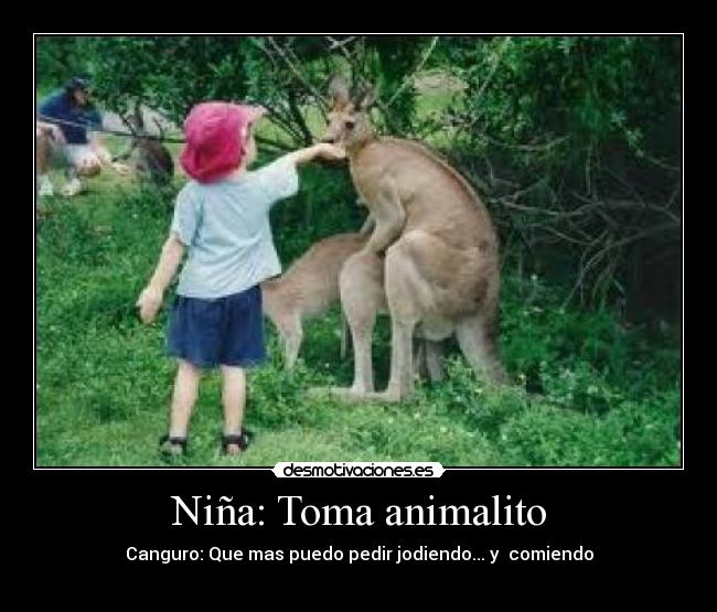 Niña: Toma animalito - 