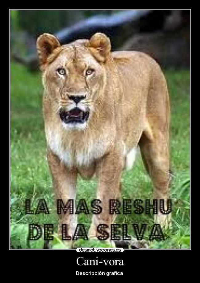 carteles diblax13 desmotivaciones