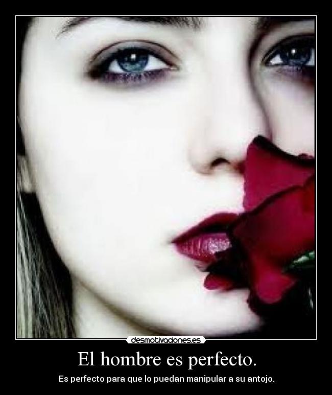 El hombre es perfecto. - Es perfecto para que lo puedan manipular a su antojo.