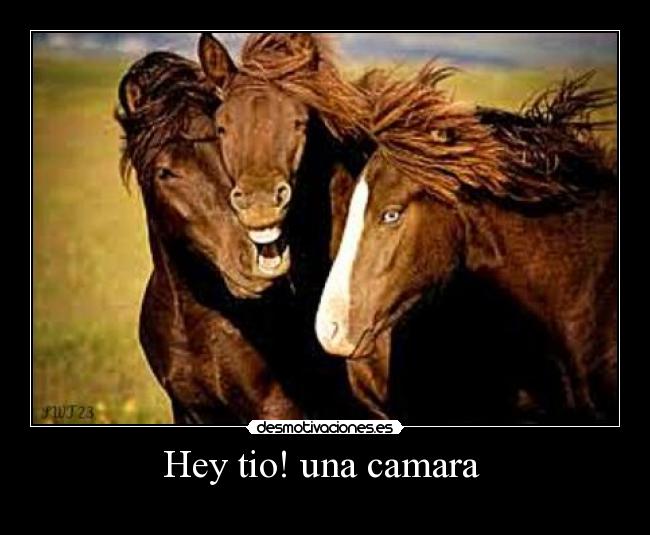 carteles hey tio una camara desmotivaciones