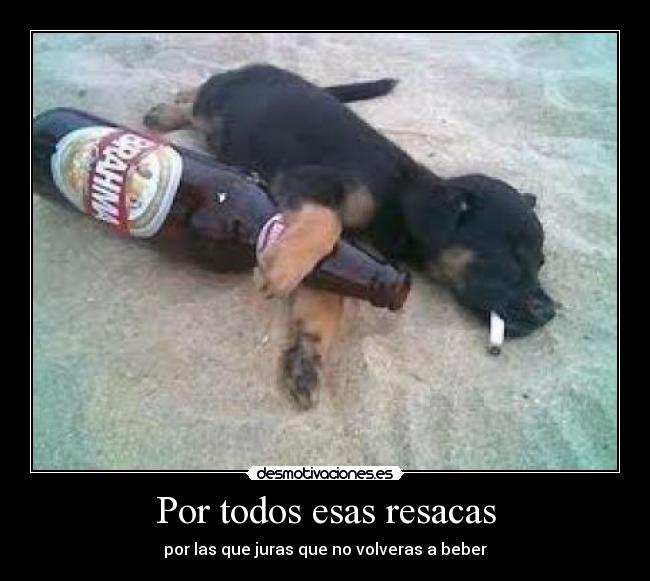 Por todos esas resacas -